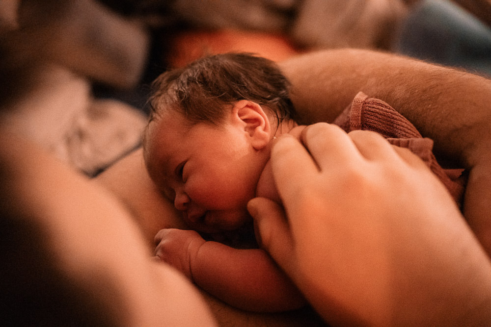 Frisch Geborenes Baby Geburtsreportage am Bauch der Mutter